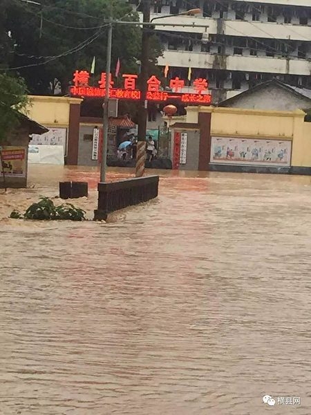 暴雨