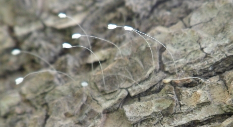 0712