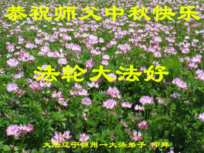 贺卡