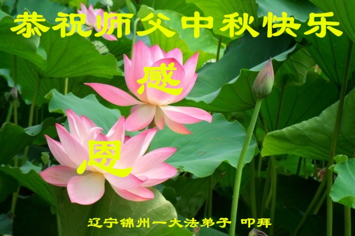 贺卡