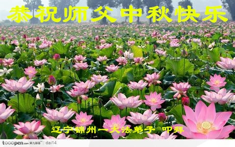 贺卡