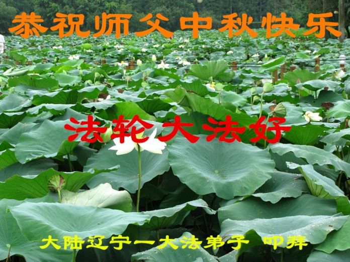 贺卡