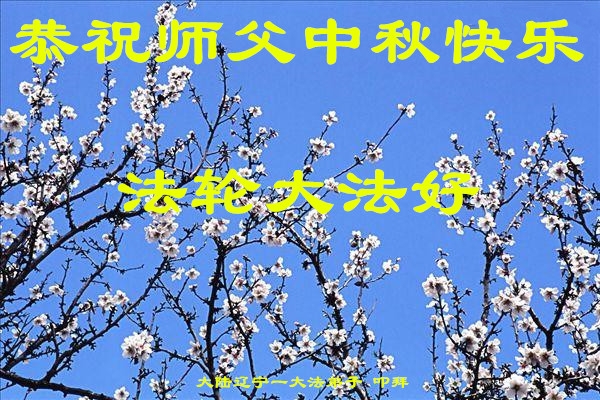 贺卡