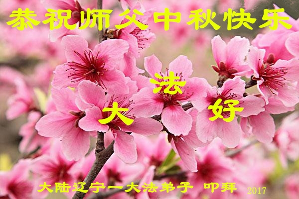 贺卡