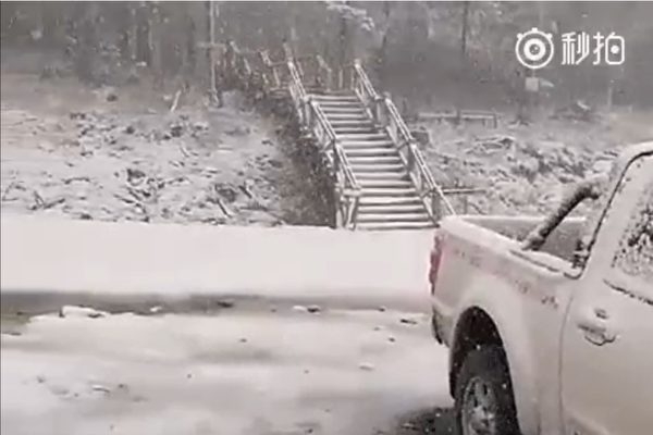六月雪