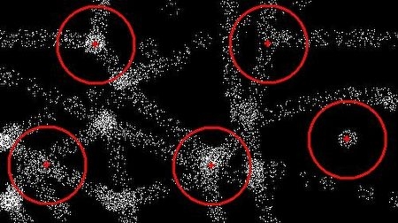 人体科学