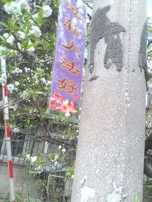 法轮功