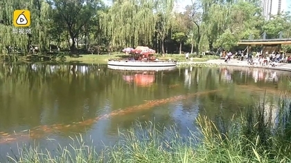 奇景
