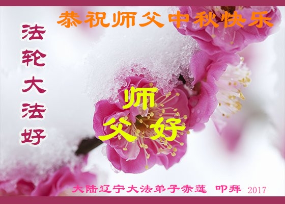 贺卡