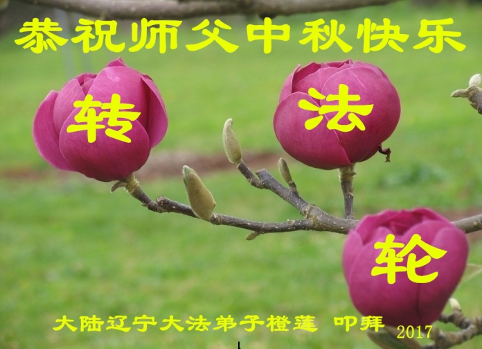贺卡