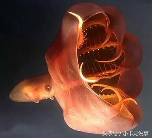 0802