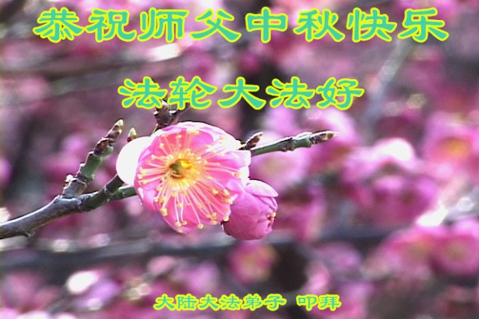 贺卡