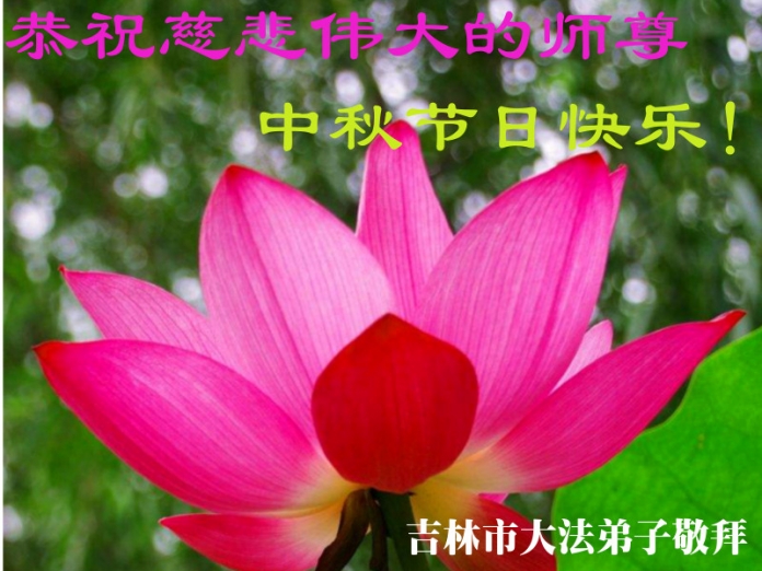 贺卡