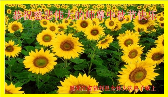 贺卡