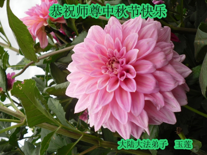 贺卡
