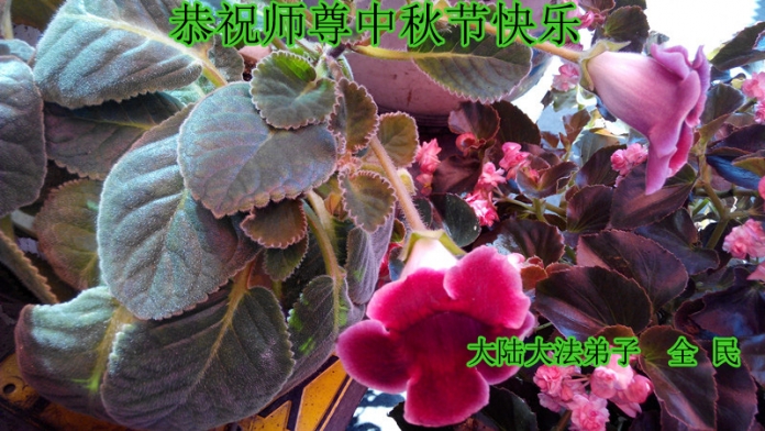 贺卡