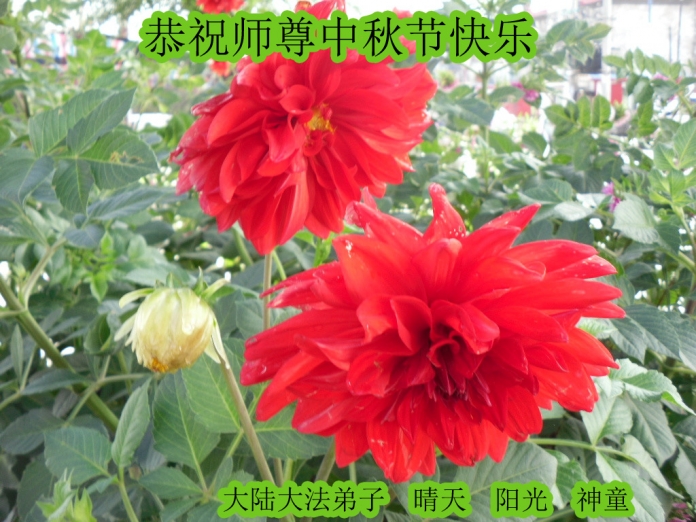 贺卡