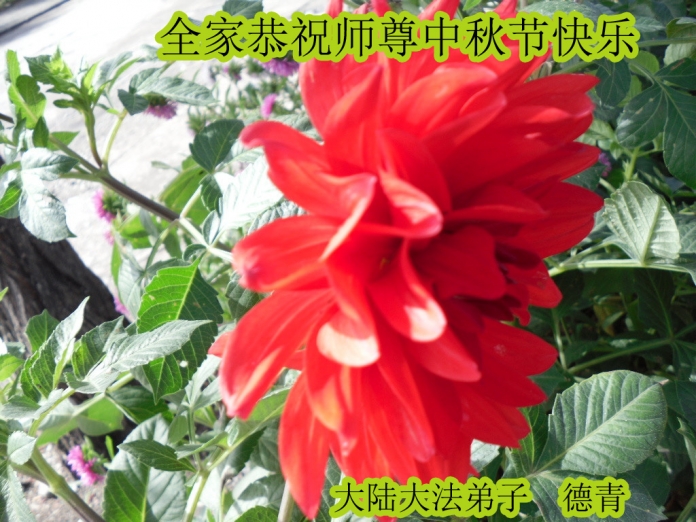 贺卡