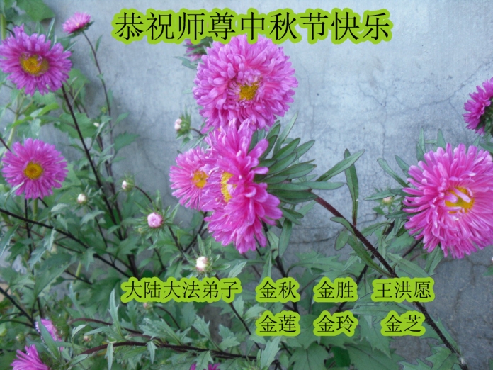 贺卡