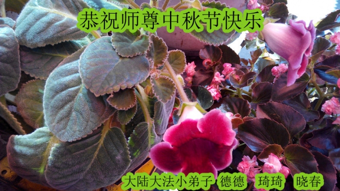 贺卡