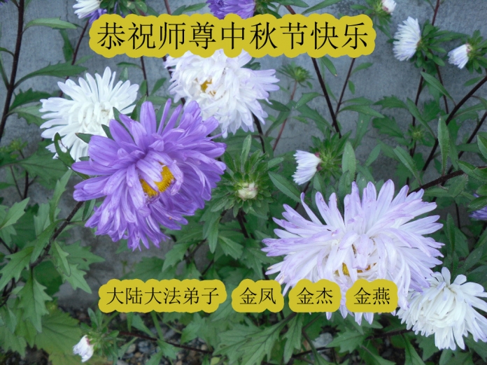 贺卡