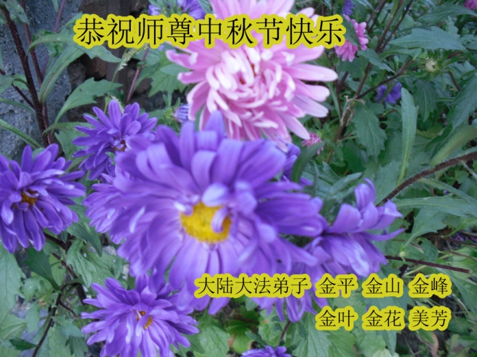 贺卡