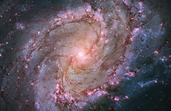 1026