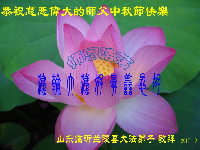 贺卡