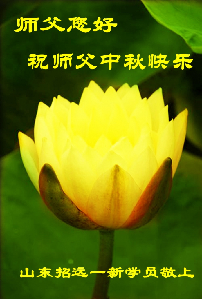 贺卡