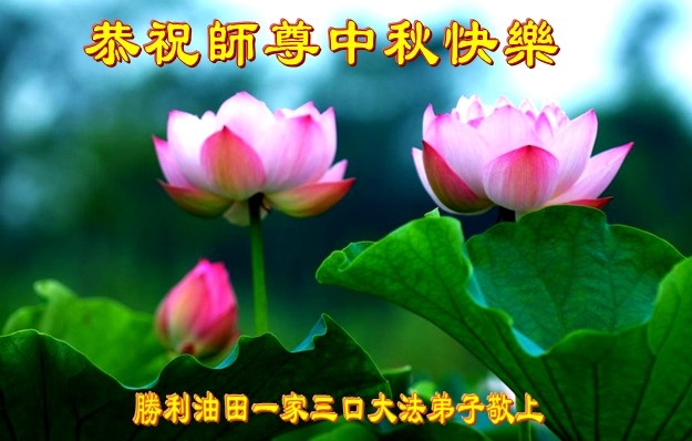 贺卡