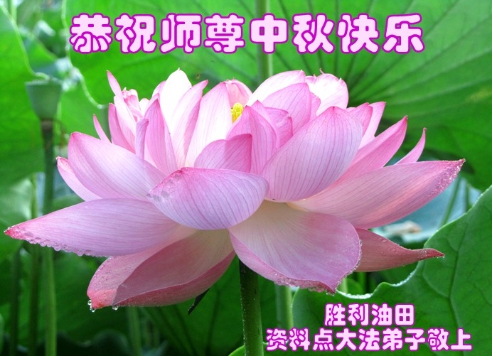贺卡