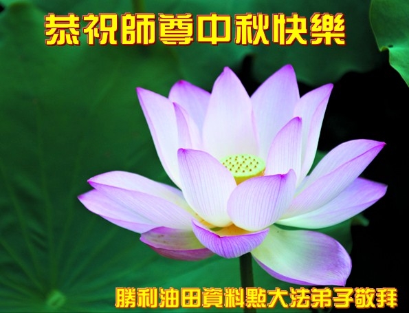 贺卡