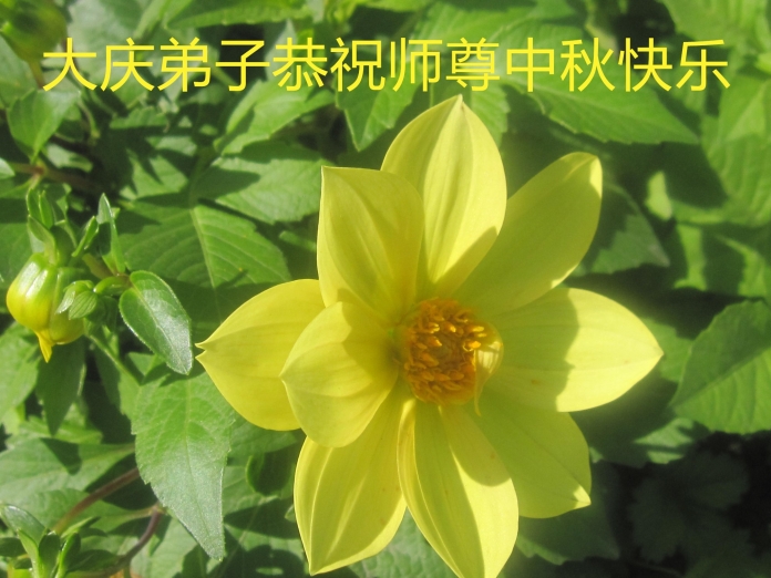 贺卡