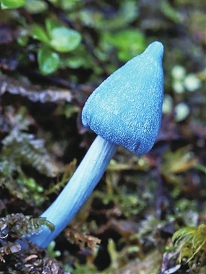 1022