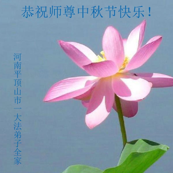 贺卡