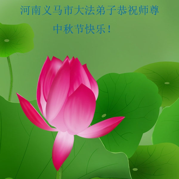 贺卡