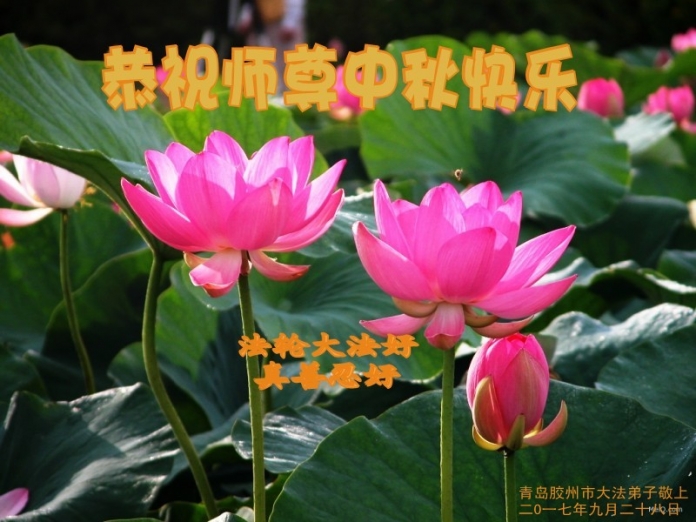 贺卡