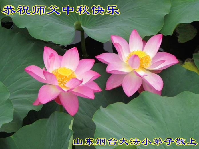 贺卡