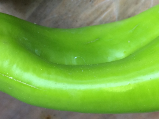 246277 1534902773