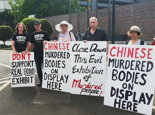 澳洲各界关注谴责声中 真人尸体展提前关闭
