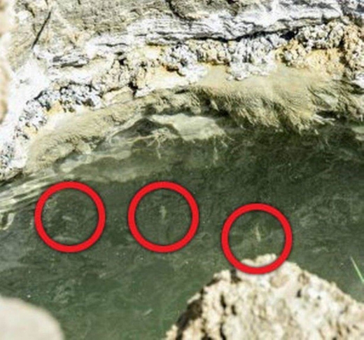 247650 1541337760 0